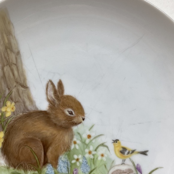 Cute little bunny plate - Picture 4 of 4